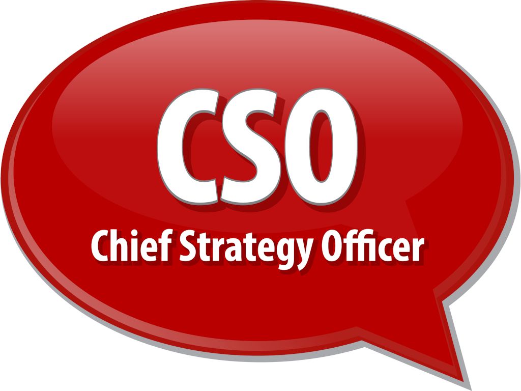 Chief Strategy Officer | Jeri Davis International